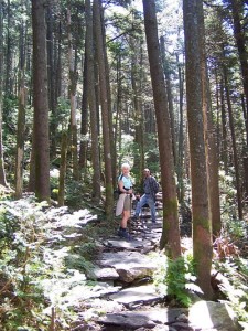 Carol-Ann-and-Tim-on-Appalachian-Trail