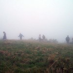 foggy-herders